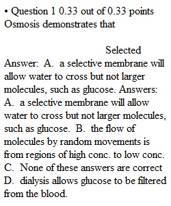 Lecture Exam 2